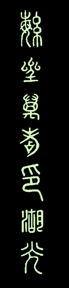 繁星萬點印湖光